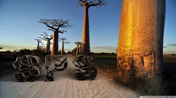 Cinema 4D Tutorial - 3D Motext and Compositing Background Effect