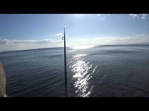 Leerfish (Λίτσα) spinning