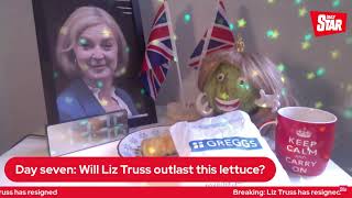 The Moment Daily Star's Lettuce Outlasted Liz Truss