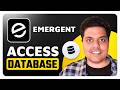 How To Access Database On Emergent AI Website Builder Step By Step