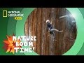 Tree Climbing Challenges and Techniques