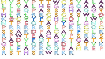 Gene Music using Protein Sequence of EDN2 "ENDOTHELIN 2"