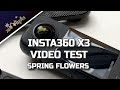 INSTA360 X3 VIDEO TEST SPRING FLOWERS