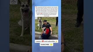 Policewoman Comforts Missing Boy After Hero Dog Saves His Life ❤️🐾 #PoliceKindness #HeroDog ❤️🙏🫂.