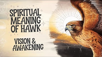 Spiritual Meaning of Hawk – A Symbol of Vision and Awakening