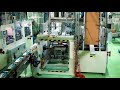 Sotemapack Wa20 - Wrap around carton packer at food factory "Gruppo De Matteis"