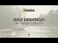 Evangelio desde el interior | 29 de septiembre de 2024 📖