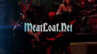 The Hang Cool Teddy Bear Tour