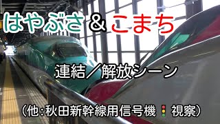 盛岡駅 はやぶさwithこまち号 併合（連結）／分割 & 秋田新幹線 信号機視察