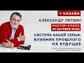 Система вашей семьи: почему важно изучать свою генеалогию