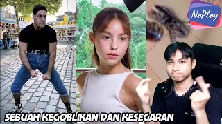 BUTUH HIBURAN UNIK MANTAP & GOBLOY | NOPLOY #138