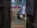 Warehouse worker uses a giant suction tube to move boxes effortlessly