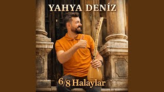 6/8 Halaylar