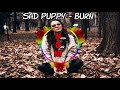 Sad puppy  burn  no copyright