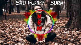 Sad Puppy - Burn - [No Copyright]