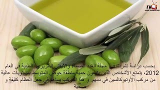 فوائد زيت الزيتون