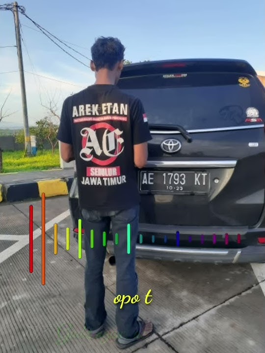 Wes sak mestine