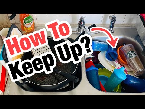 Video: Why You Shouldn't Leave Dirty Dishes Overnight