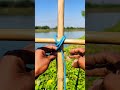 This knot will be useful 99%#shortvideo
