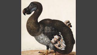 The Dodo Bird screenshot 3