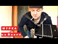 Мурка на Баяне / Murka on the Accordion