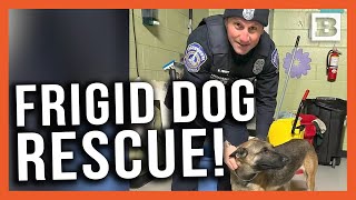 "He’s Just Freezing”: Police Release Bodycam Footage of Officers Rescuing Dog in Freezing Weather
