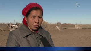 Қызылорда облысында ұсақ мал қырылып жатыр