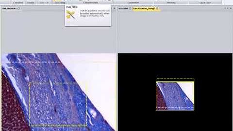 Image Pro Insight: Use Live Tiling