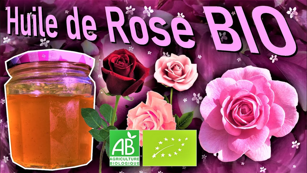 Comment faire son huile de ROSE ? 🌹 - YouTube