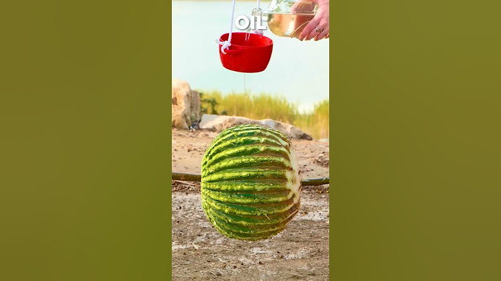 Cooking a Wild Cactus for a Delicious Meal! 🌵🍽️ #prank #funny #comedy