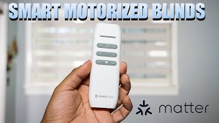 Automate Your Blinds!- BlindsMagic Zebra Shades Review