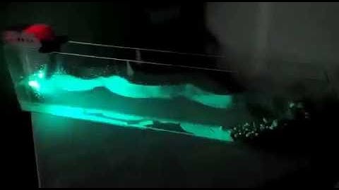 Simulations of sea waves with Arduino and two servo motors (Prueba)