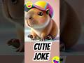 Capybara Fashion! 👒🐹✨ Capybara Joke! #animatedstories #laughwithdadjokes #funnyvideos #pets
