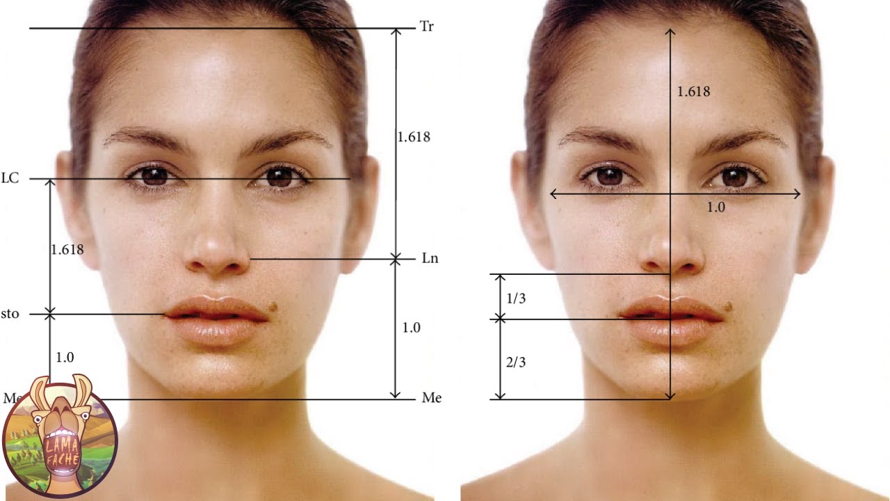 Découvre le degré de Ta Beauté grâce à ce TEST  | Lama Faché