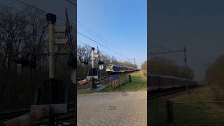 Sng Gespot Door De Volenbekerweg In Ermelo  Sng Spotted Passing The Volenbekerweg In Ermelo 