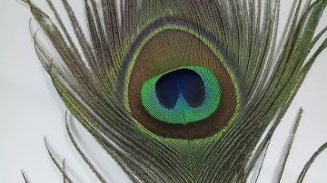 Class 12 | Indefinite Integration PART- 4 | SOLUTIONS  | CBSE ISC HS UP others board