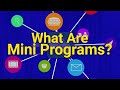 What Are Mini Programs?