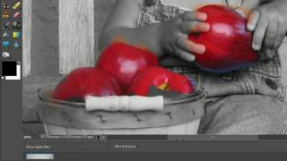 Black & White/Color Effect in Photoshop Elements 7 screenshot 5