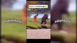 Banane aq