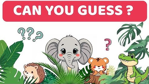 🦊Can You Guess the Animal? |🌈Fun Riddles + Cool Facts for Kindergarten🦄 |Fun Quiz & @Preschoolkiddo 