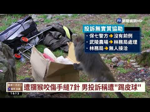 武陵停車場獼猴跳車內狠咬 登山客手掌縫7針｜華視台語新聞 2022.10.27