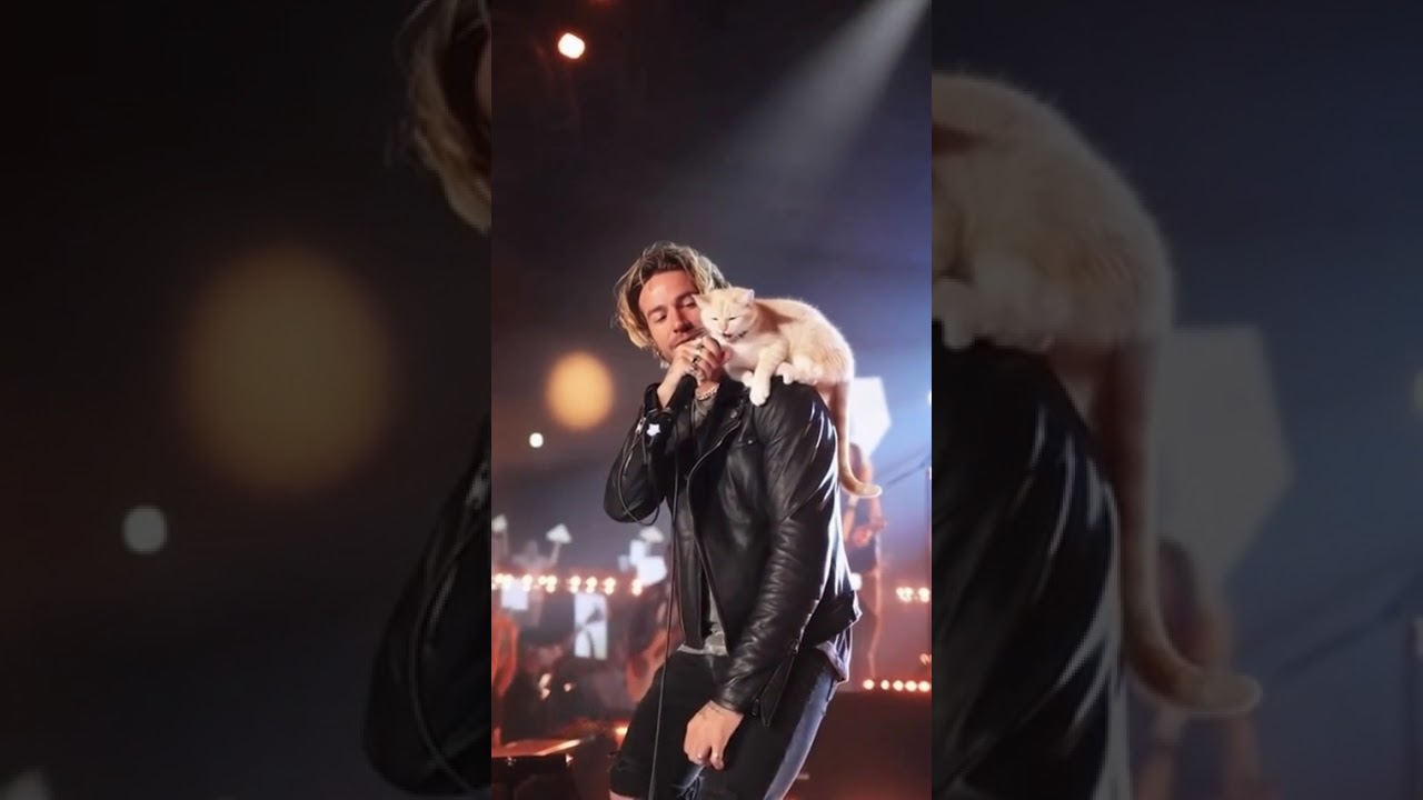 The Crowd LOST THEIR MINDS When This Rocker Passed the Mic... to His Cat