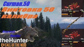 : theHunter: Call of the Wild.  Curman 50