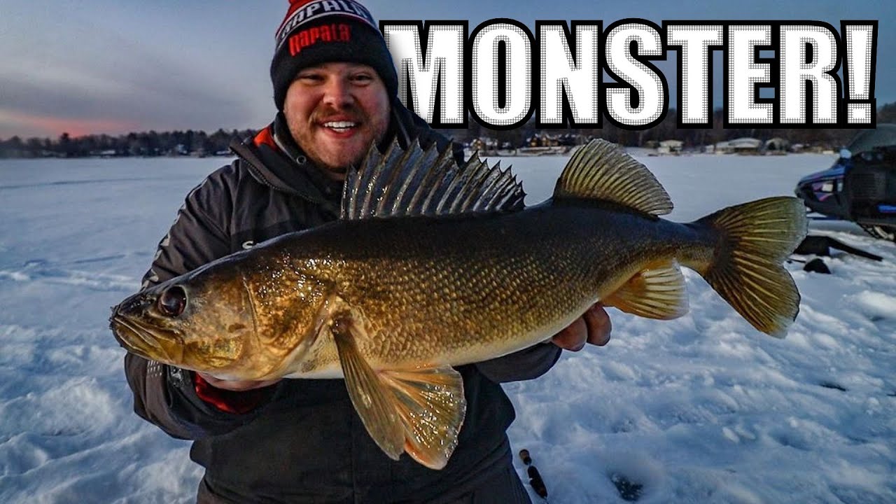 Ice Walleye Fishing  4 Tips to Find and Catch - Wired2Fish