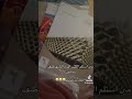 كتب السادس الابتدائي استلمت