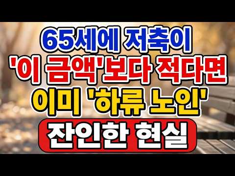 65세에 저축이 '이 금액' 이하라면... 당신은 이미 '하류 노인'입니다 | 아무도 말해주지 않은 잔인한 현실