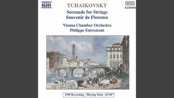 Serenade for String Orchestra in C Major, Op. 48, TH 48: III. Elegie