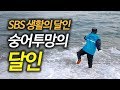 [숭어투망] 청청 동해바다에서 SBS생활의달인 송학맨님께서 멋진 투망 기술로 찰진 겨울숭어를 잡으시는 모습 cast a net [2019.11.23]