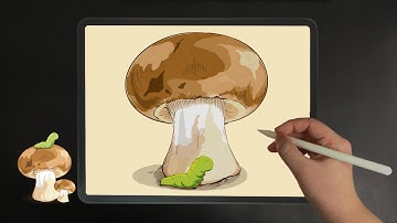Cute Mushroom Caterpillar Drawing iPad Pro Procreate Illustration