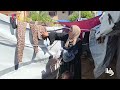 صابرين كحيل نازحة في النصيرات تواجه صعوبة في إعالة أسرتها بعد استشهاد زوجها وتقليص المساعدات